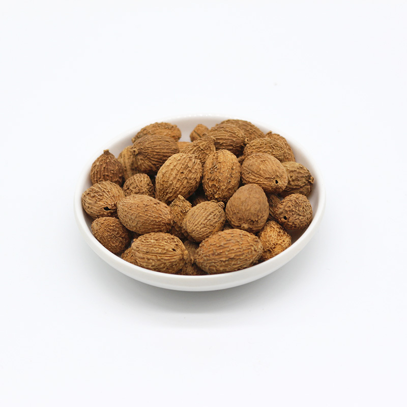 吉寶生物